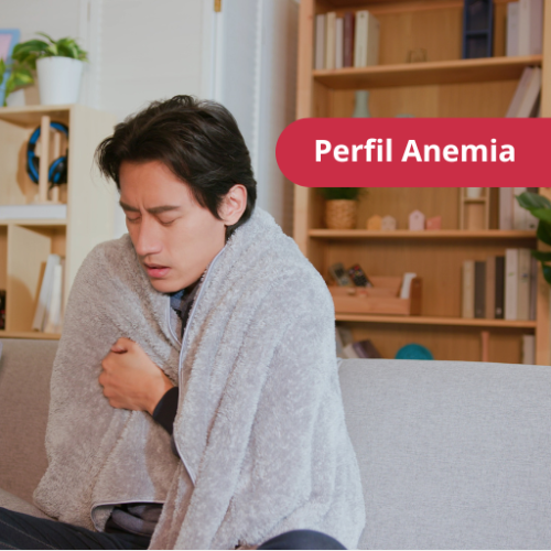 Perfil Anemia