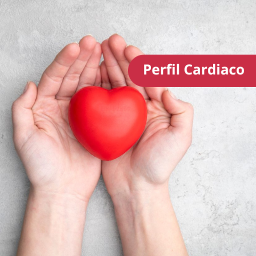 Perfil Cardiovascular