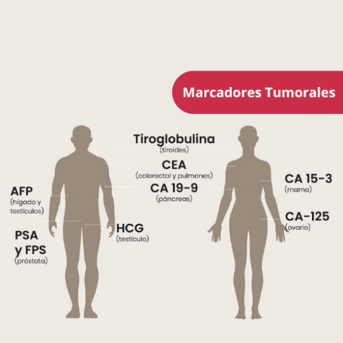 Marcadores Tumorales