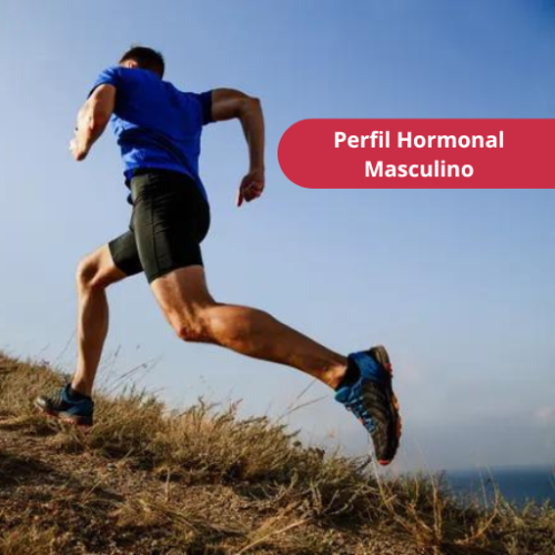 Perfil Hormonal Masculino